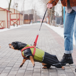 Behavior Modification
