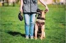 The Confidence & Trust Package - 8 Sessions